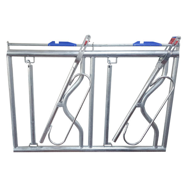 Verrouillage de la tête