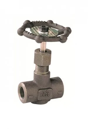 Robinet à pointeau Acier Forgé PN200