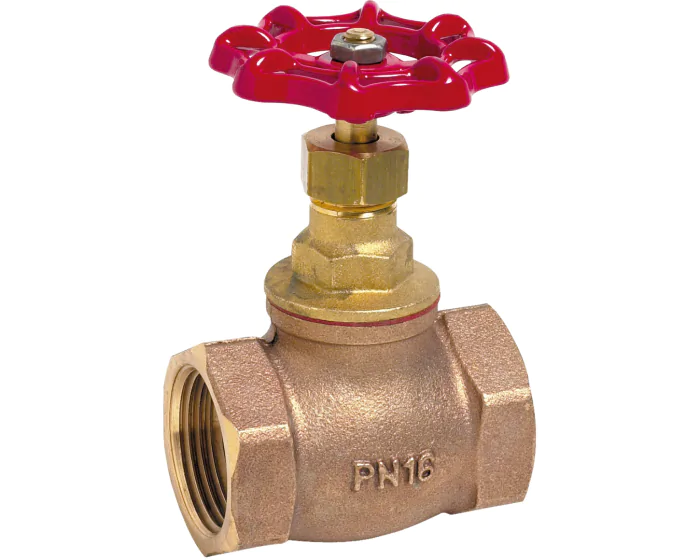 Robinet à soupape Bronze PN16
