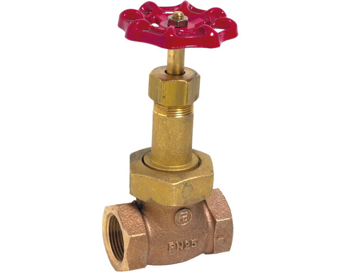 Robinet à soupape Bronze chapeau union PN25 PTFE