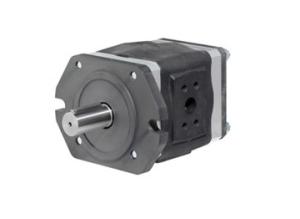 Pompes à engrenages à engrenages internes type EIPH 